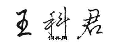 駱恆光王科君行書個性簽名怎么寫