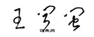 駱恆光王聞閩草書個性簽名怎么寫