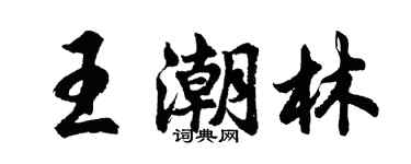 胡問遂王潮林行書個性簽名怎么寫