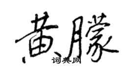 王正良黃朦行書個性簽名怎么寫