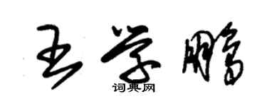 朱錫榮王學鵬草書個性簽名怎么寫