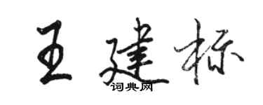 駱恆光王建標行書個性簽名怎么寫