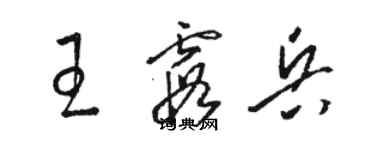 駱恆光王霞兵草書個性簽名怎么寫