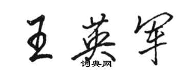 駱恆光王英軍行書個性簽名怎么寫