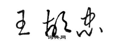 駱恆光王胡忠草書個性簽名怎么寫