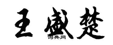 胡問遂王盛楚行書個性簽名怎么寫