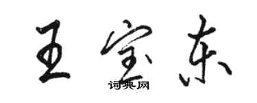 駱恆光王寶東行書個性簽名怎么寫