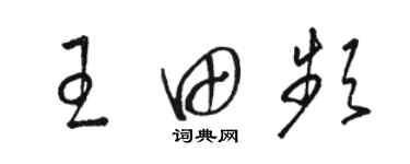 駱恆光王田頻草書個性簽名怎么寫