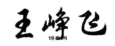 胡問遂王崢飛行書個性簽名怎么寫
