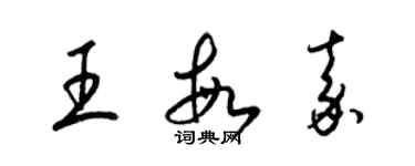 梁錦英王敏嘉草書個性簽名怎么寫