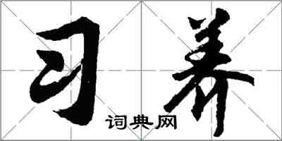 胡問遂習養行書怎么寫