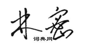 駱恆光林密草書個性簽名怎么寫