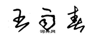 朱錫榮王雨春草書個性簽名怎么寫