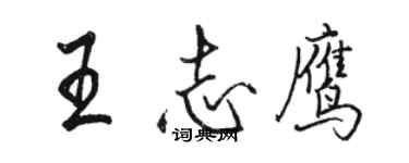 駱恆光王志鷹行書個性簽名怎么寫