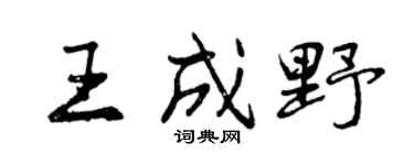 曾慶福王成野行書個性簽名怎么寫