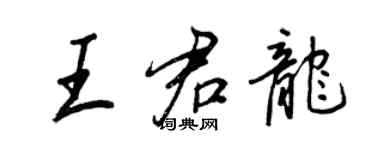 王正良王君龍行書個性簽名怎么寫