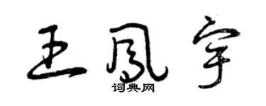 曾慶福王鳳宇草書個性簽名怎么寫