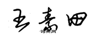 朱錫榮王素田草書個性簽名怎么寫