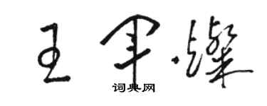 駱恆光王軍燦草書個性簽名怎么寫