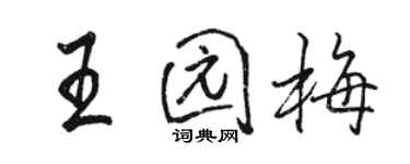 駱恆光王園梅行書個性簽名怎么寫