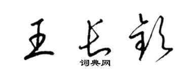 梁錦英王長欽草書個性簽名怎么寫