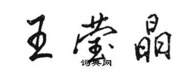 駱恆光王瑩晶行書個性簽名怎么寫