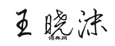 駱恆光王曉沫行書個性簽名怎么寫