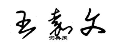 朱錫榮王嘉文草書個性簽名怎么寫