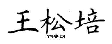 丁謙王松培楷書個性簽名怎么寫
