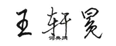 駱恆光王軒冕行書個性簽名怎么寫