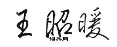 駱恆光王昭暖行書個性簽名怎么寫