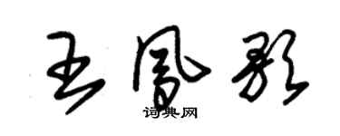朱錫榮王鳳歌草書個性簽名怎么寫