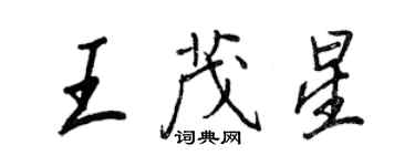 王正良王茂星行書個性簽名怎么寫