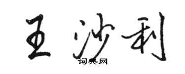 駱恆光王沙利行書個性簽名怎么寫