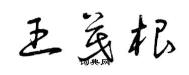 曾慶福王茂根草書個性簽名怎么寫