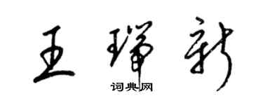 梁錦英王瑞新草書個性簽名怎么寫