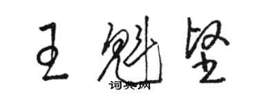 駱恆光王魁堅草書個性簽名怎么寫