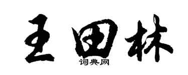 胡問遂王田林行書個性簽名怎么寫