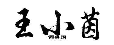 胡問遂王小茵行書個性簽名怎么寫