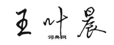 駱恆光王葉晨行書個性簽名怎么寫