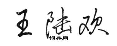 駱恆光王陸歡行書個性簽名怎么寫