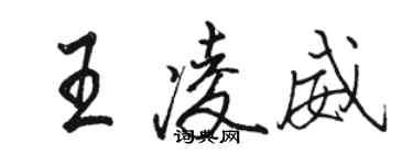 駱恆光王凌威行書個性簽名怎么寫