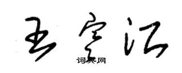 朱錫榮王寒江草書個性簽名怎么寫