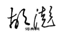 駱恆光胡澎草書個性簽名怎么寫