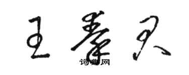 駱恆光王秦君草書個性簽名怎么寫