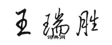 駱恆光王瑞勝行書個性簽名怎么寫