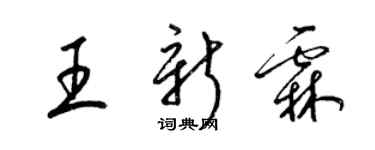 梁錦英王新霖草書個性簽名怎么寫