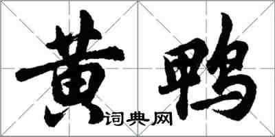 胡問遂黃鴨行書怎么寫