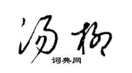 梁錦英湯柳草書個性簽名怎么寫