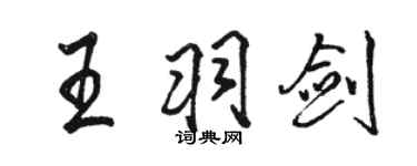 駱恆光王羽劍行書個性簽名怎么寫